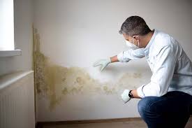 Best Comprehensive Air Testing for Mold Contaminants  in Del Aire, CA